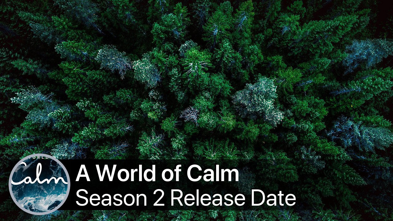 A World of Calm Season 2 Release Date