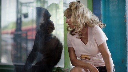 Chimp Crazy Season 2