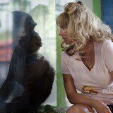 Chimp Crazy Season 2 Release Date