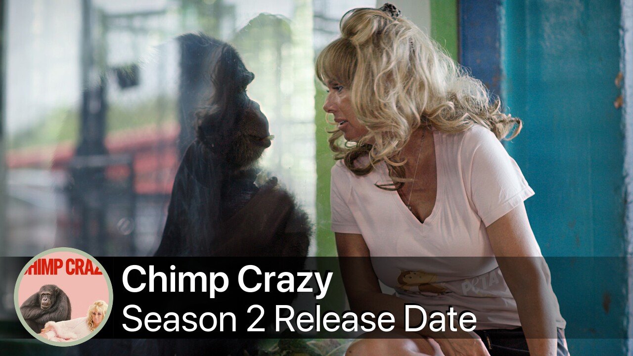 Chimp Crazy Season 2 Release Date