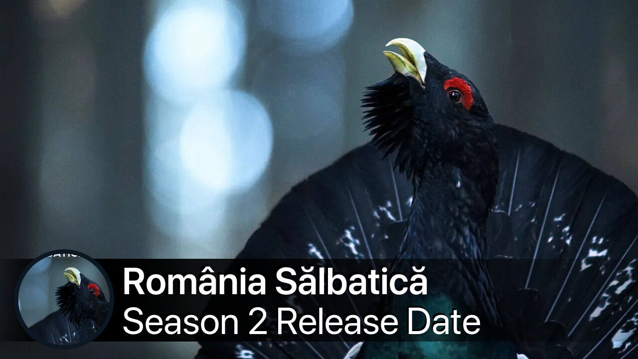 România Sălbatică Season 2 Release Date