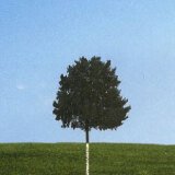 Six Feet Under Season 6 Release Date